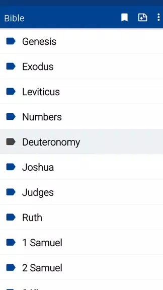 Spurgeon Bible Commentary 스크린샷 1