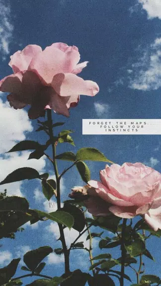 aesthetic background ဖန်သားပြင်ဓာတ်ပုံ 2
