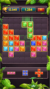 Block Puzzle Jewel Classic Ảnh chụp màn hình 0