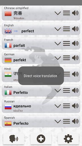 Q Multi Language Translator ภาพหน้าจอ 3