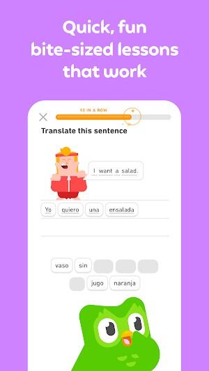 Duolingo: Language Lessons Screenshot 1