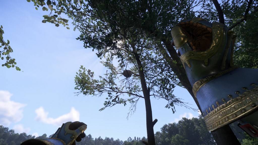 Ang pagtapon ng mga bato sa Bird Nests sa Kingdom ay dumating sa paglaya 2.