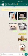 Cat Memes Stickers WASticker स्क्रीनशॉट 1