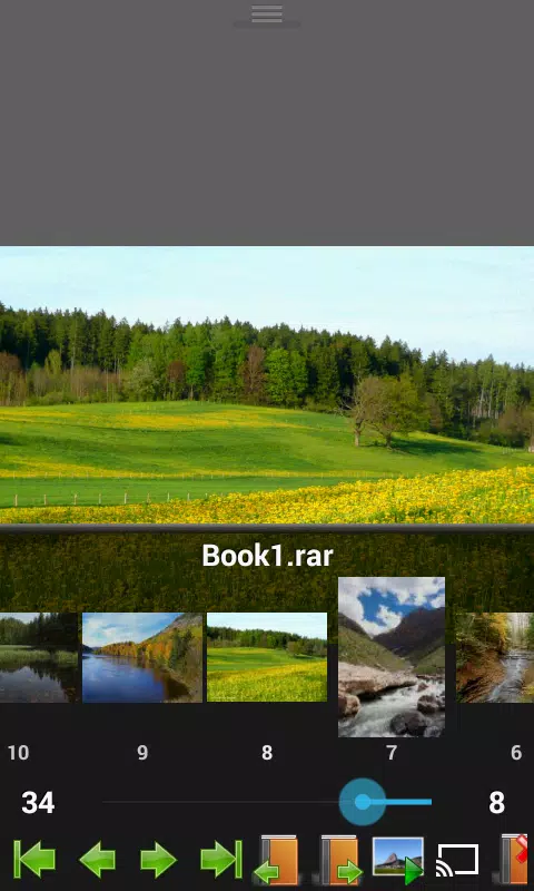 Perfect Viewer应用截图第2张