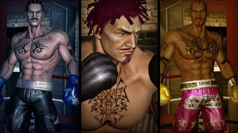Punch Boxing 3D應用截圖第2張