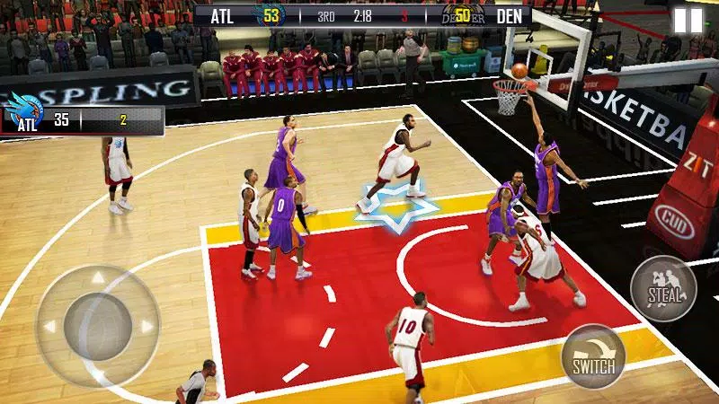 Fanatical Basketball スクリーンショット 1