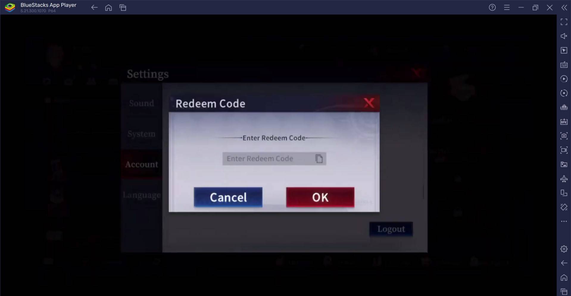 Redemption Code Input