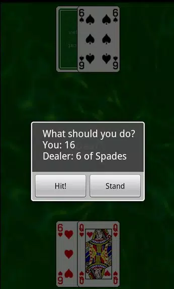 Black Jack Trainer Schermafbeelding 0