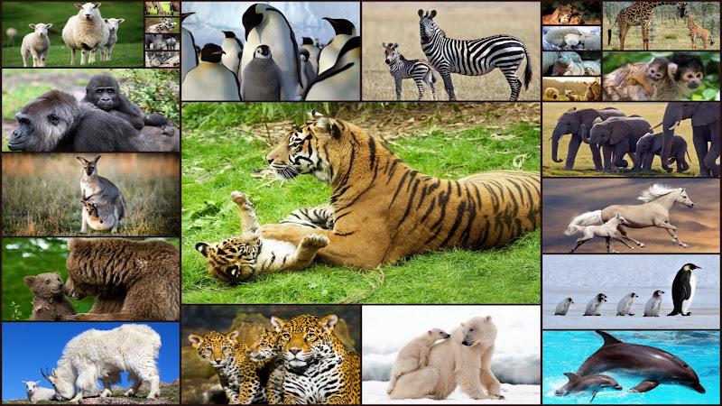 Baby Animal Jigsaw Puzzles 스크린샷 0