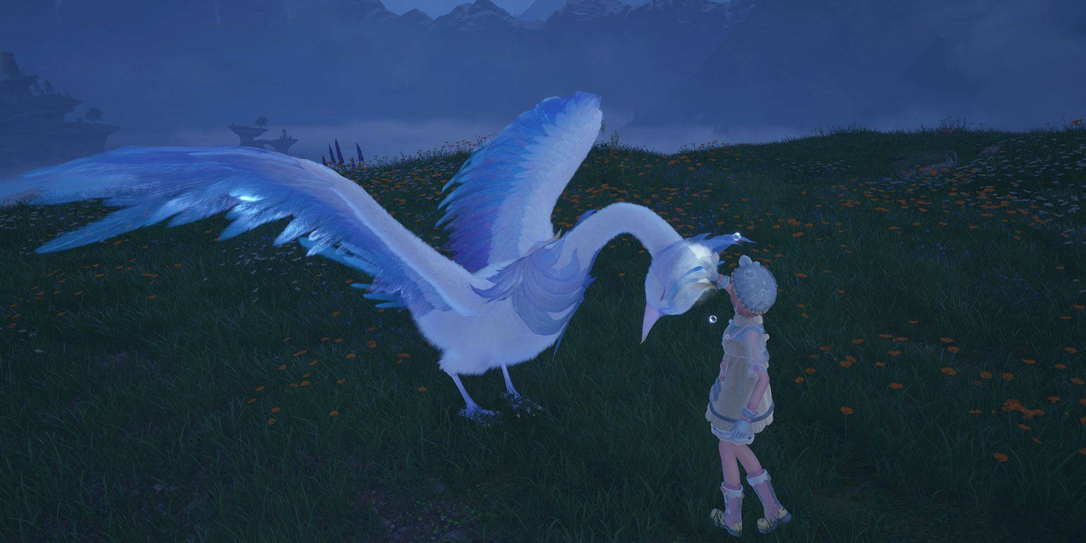 Grooming the Astral Swan