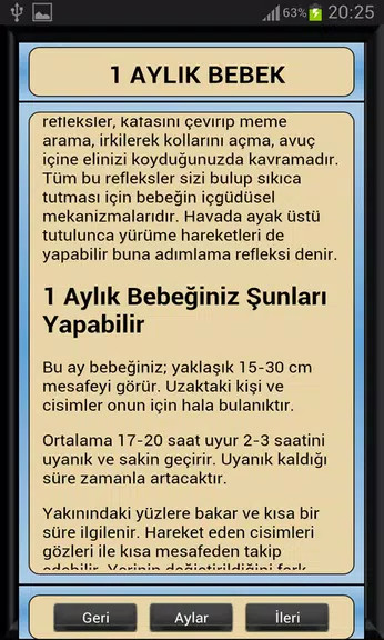 Bebek Gelişimi Ay Ay Detaylı Скриншот 2