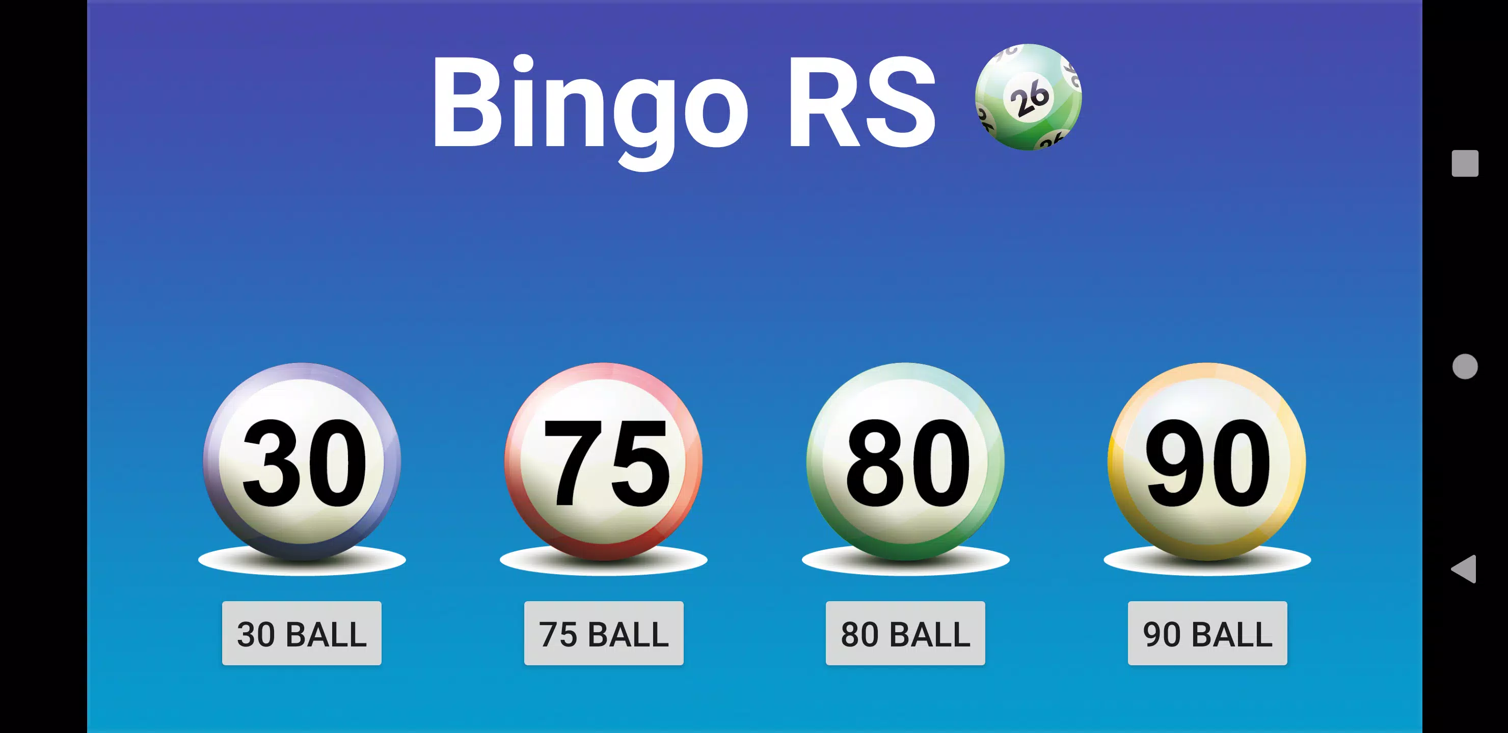 Bingo RS Tangkapan skrin 0