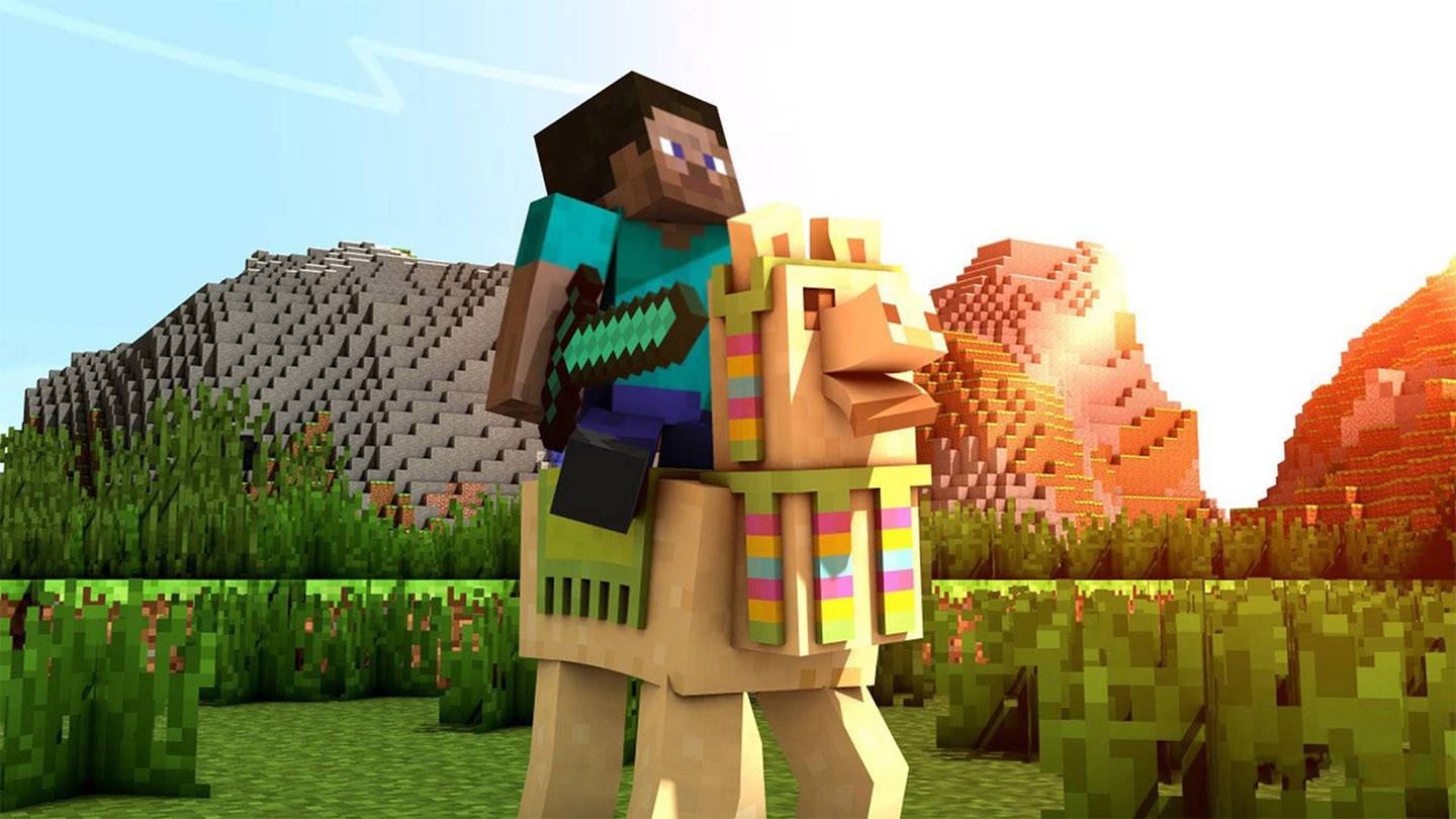 Befriending a Llama: Steps to a Lasting Companion