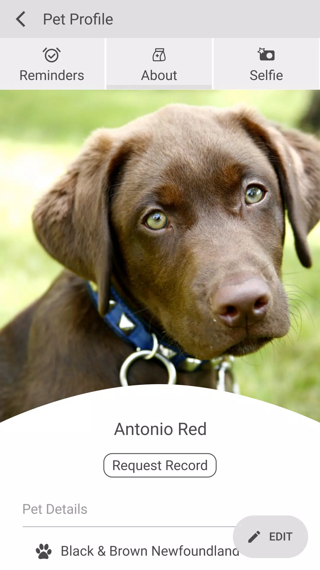 Hillcrest VC Captura de tela 3