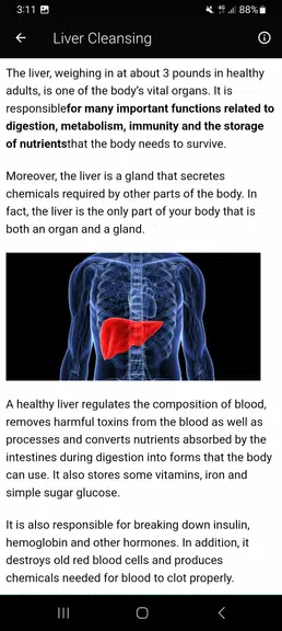 Top Liver Cleansing Superfoods Ảnh chụp màn hình 1