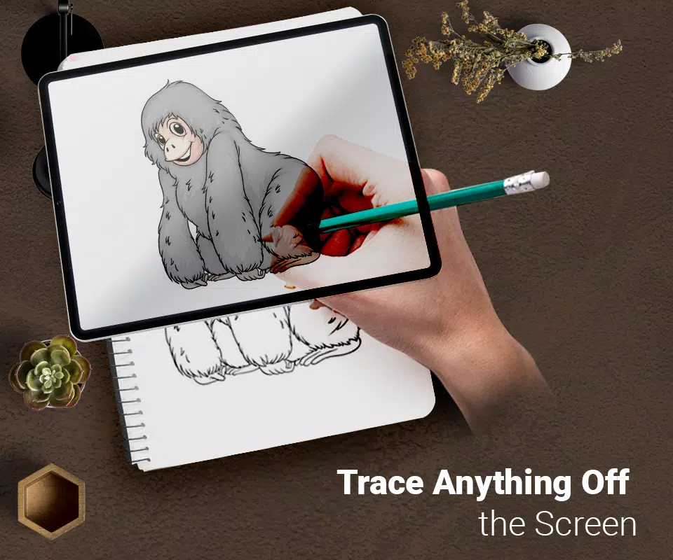 Draw : Trace & Sketch स्क्रीनशॉट 0