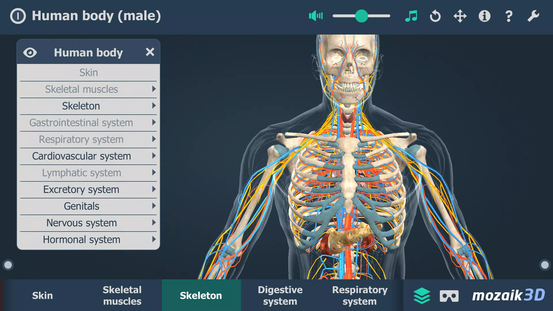 El cuerpo humano en 3D Captura de pantalla 3