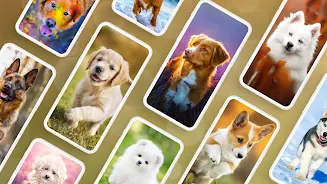 Dog Wallpapers & Puppy 4K應用截圖第0張