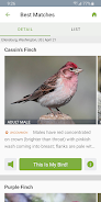 Merlin Bird ID by Cornell Lab Screenshot 1