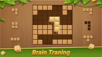 Block Puzzle - Wood Blast应用截图第0张