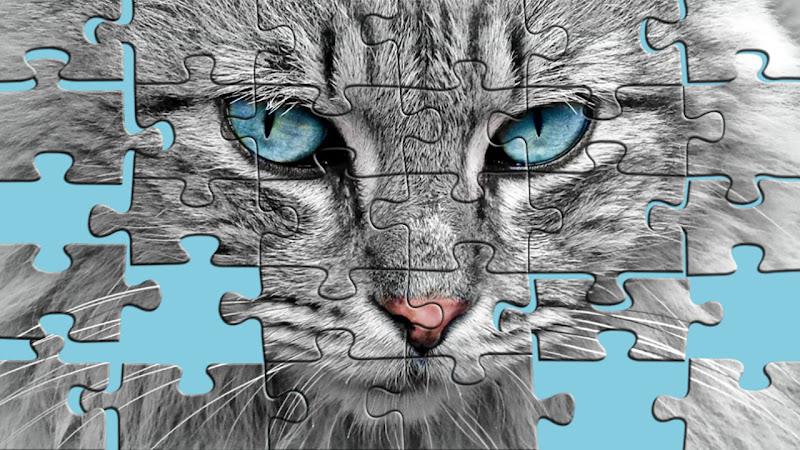 Big puzzles with cats Screenshot 0