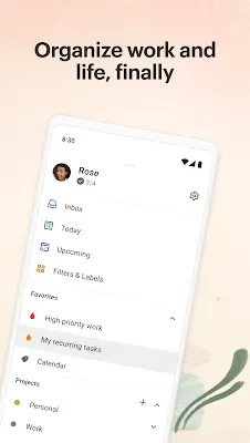 Todoist: to-do list & planner Screenshot 0