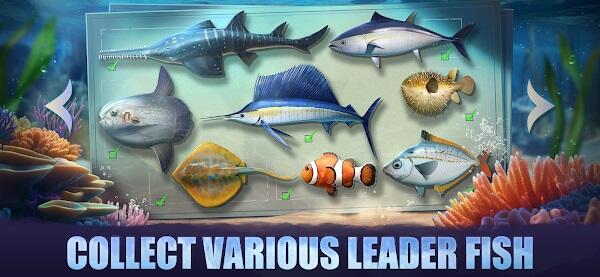 Top Fish: Ocean Game Tangkapan skrin 2