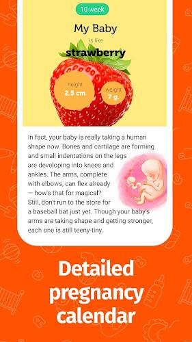 Pregnancy App and Baby Tracker Schermafbeelding 2