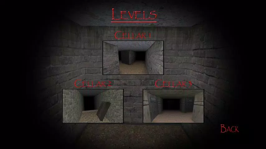 Slendrina: The Cellar Screenshot 1