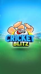 WCC Cricket Blitz应用截图第0张