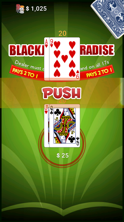 BlackJack Paradise Tangkapan skrin 2