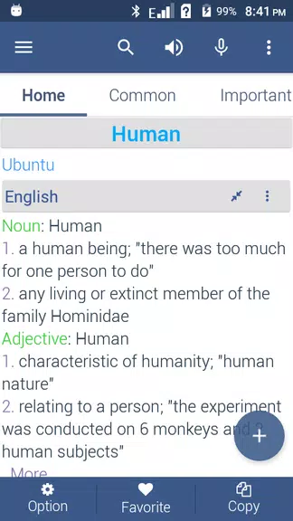 Schermata Zulu Dictionary Offline 2