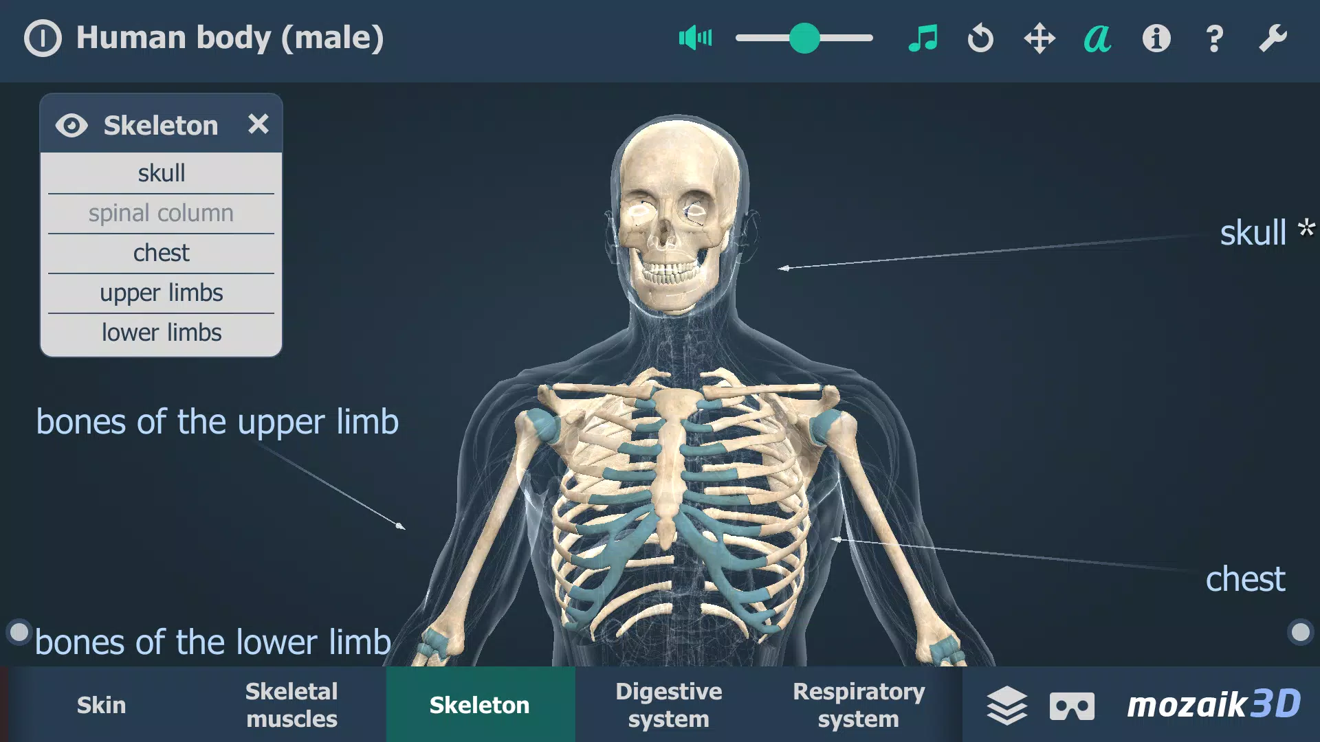 El cuerpo humano en 3D Captura de pantalla 2