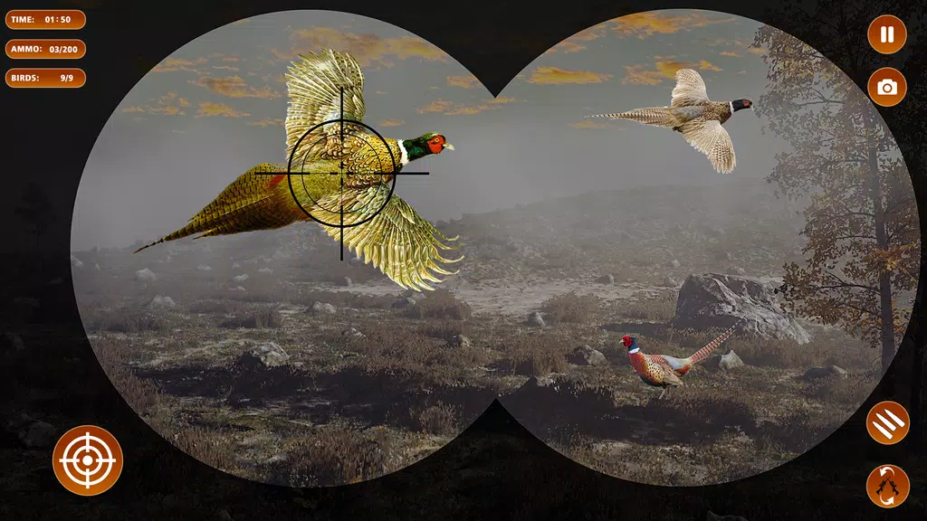 Pheasant Shooter Birds Hunting スクリーンショット 0