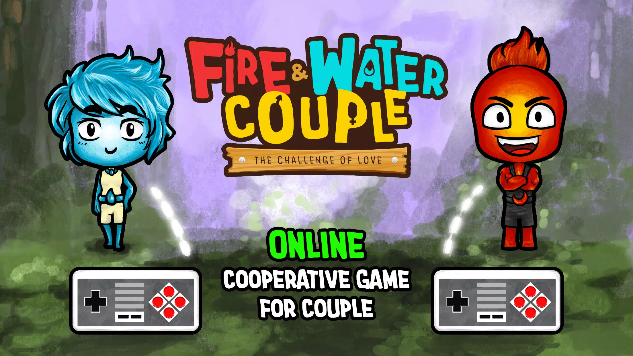 Schermata Fire and Water: Online Co-op 0