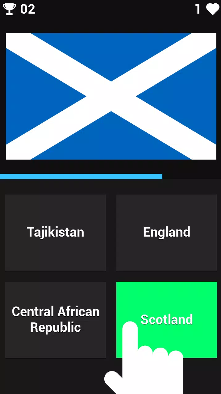 FLAG GUESSER应用截图第0张
