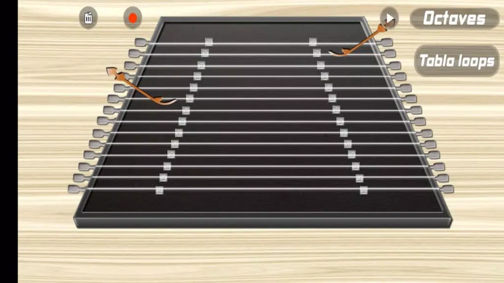 Santoor Pro应用截图第0张