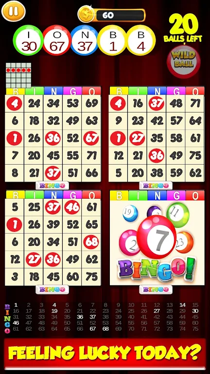 New Bingo Cards Game Free Скриншот 0