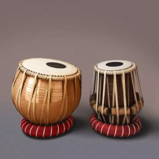 Tabla: tambours indiens