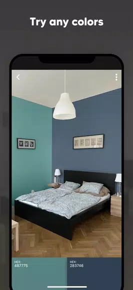 Paint my Room - Try wall color Schermafbeelding 2