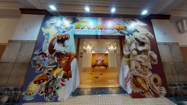 Pokémon fossils display