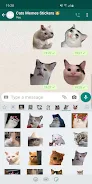 Cat Memes Stickers WASticker स्क्रीनशॉट 0