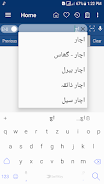 English Urdu Dictionary スクリーンショット 3