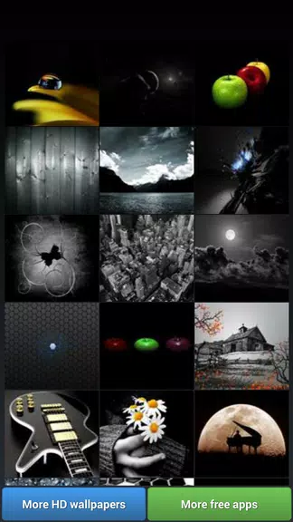 Black Theme HD Wallpapers应用截图第1张