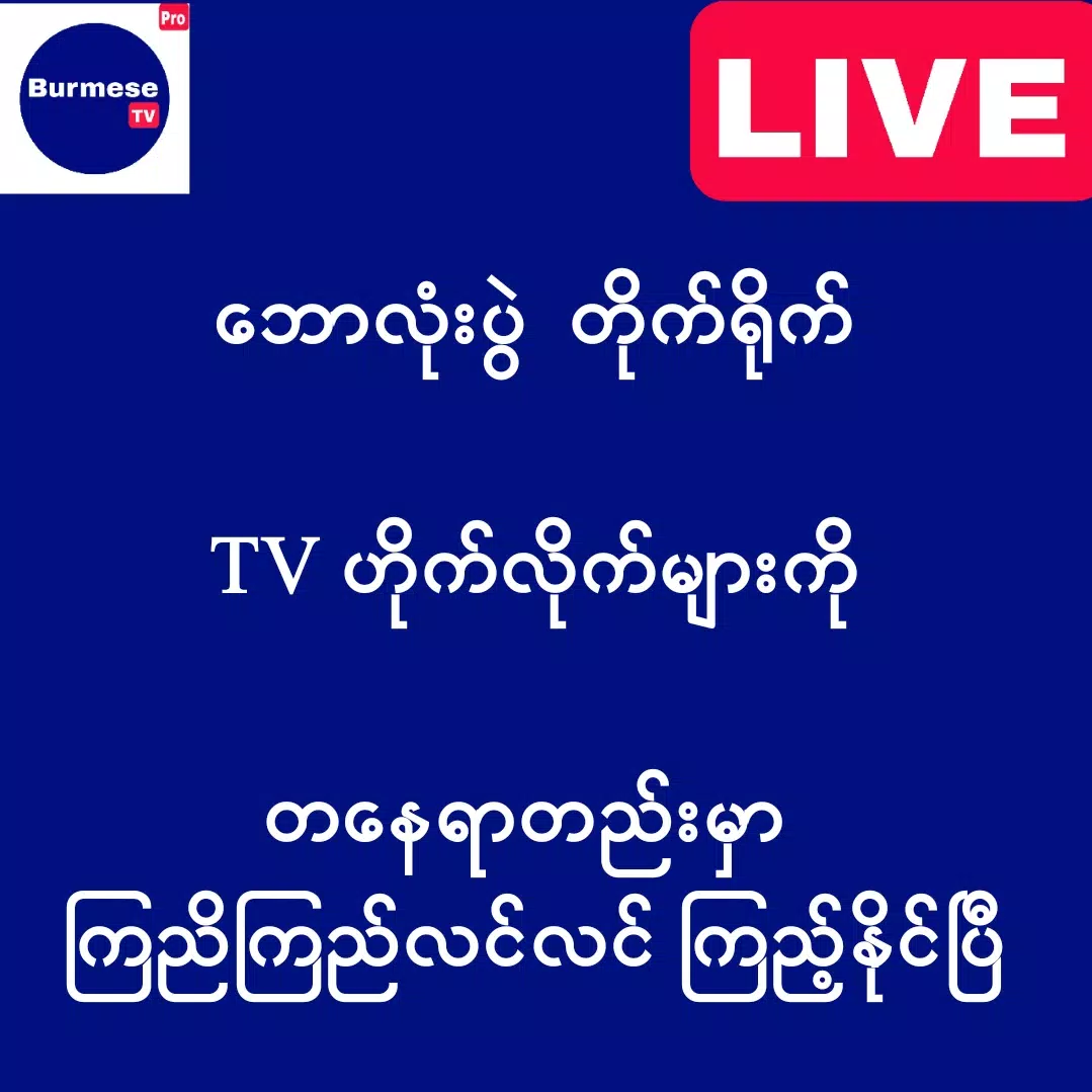 Burmese TV Pro Captura de tela 3