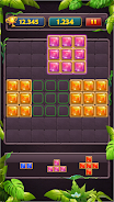 Block Puzzle Jewel Classic ภาพหน้าจอ 3