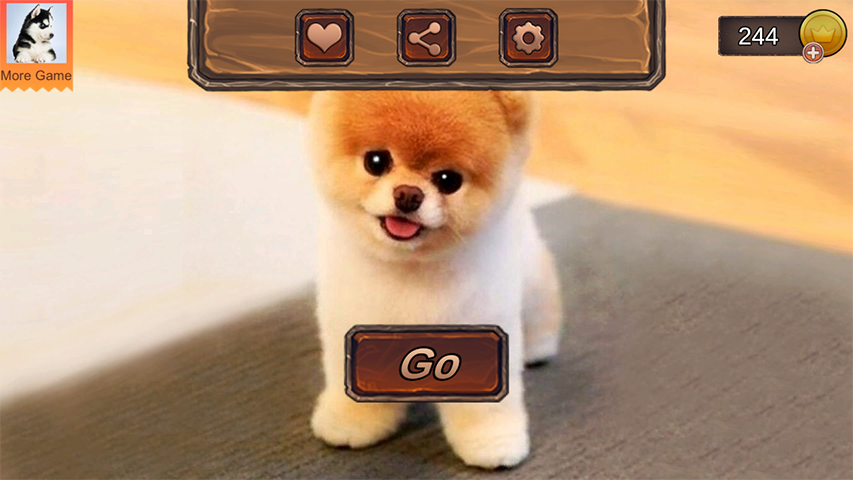 Pomeranian Dog Simulator Captura de pantalla 0