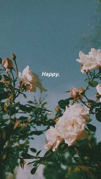 aesthetic background ဖန်သားပြင်ဓာတ်ပုံ 0