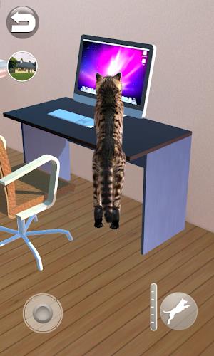 Talking Reality Cat ภาพหน้าจอ 3