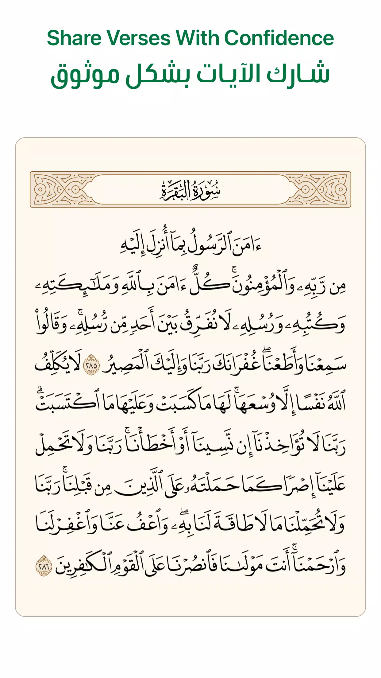 آية - تطبيق القرآن الكريم 스크린샷 3